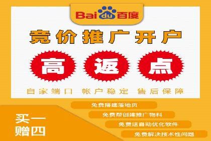 专业SEM托管：企业广告投放的明智之选
