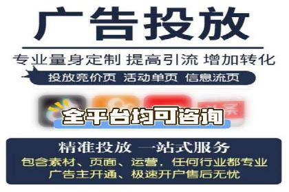 百度竞价SEM策略解析：某品牌广告成功的关键因素